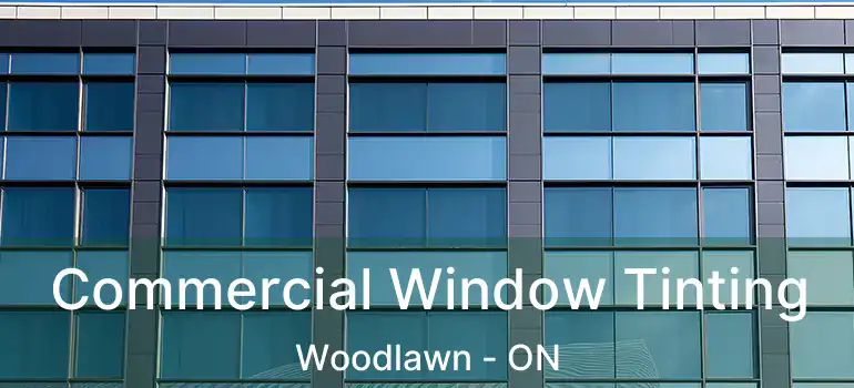  Commercial Window Tinting Woodlawn - ON