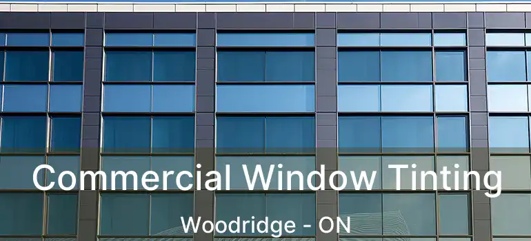  Commercial Window Tinting Woodridge - ON