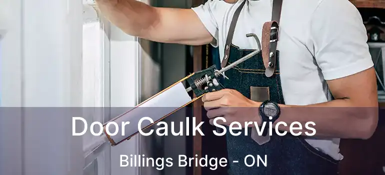  Door Caulk Services Billings Bridge - ON