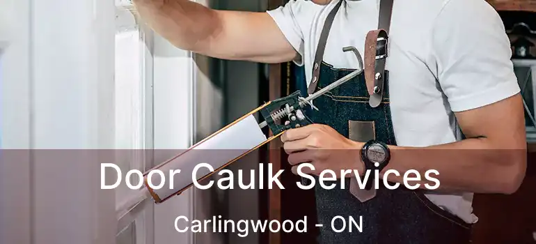  Door Caulk Services Carlingwood - ON