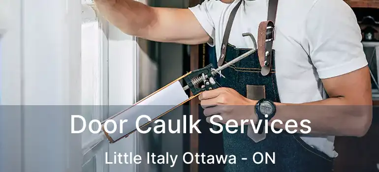  Door Caulk Services Little Italy Ottawa - ON