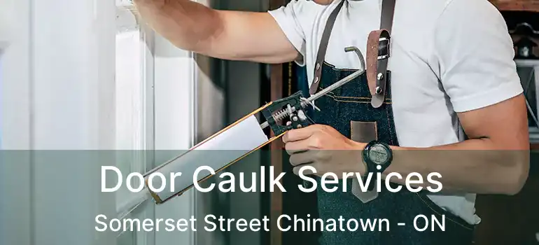  Door Caulk Services Somerset Street Chinatown - ON