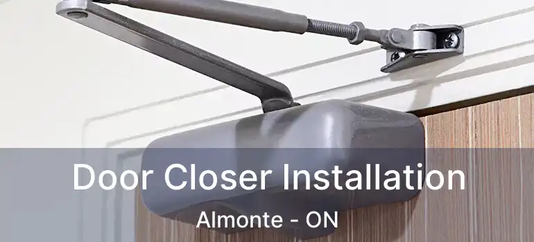  Door Closer Installation Almonte - ON