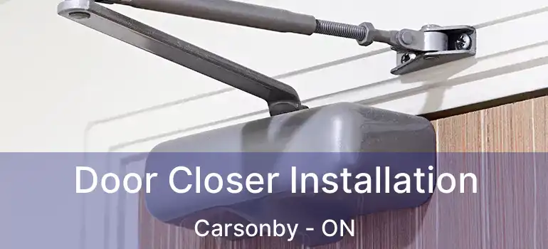  Door Closer Installation Carsonby - ON