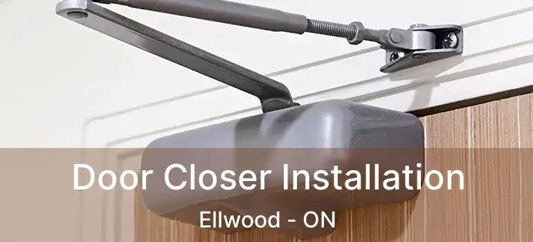  Door Closer Installation Ellwood - ON