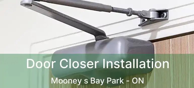  Door Closer Installation Mooney s Bay Park - ON