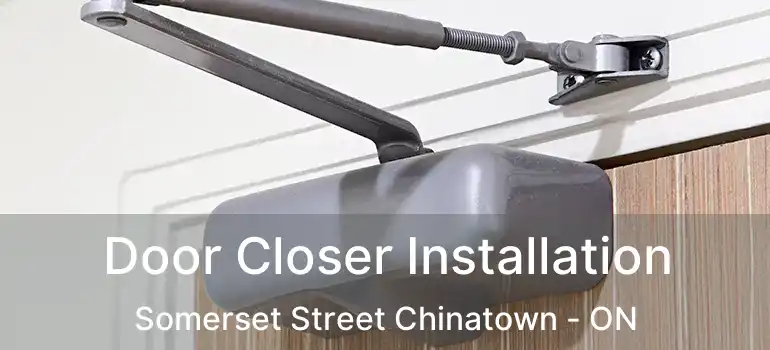  Door Closer Installation Somerset Street Chinatown - ON