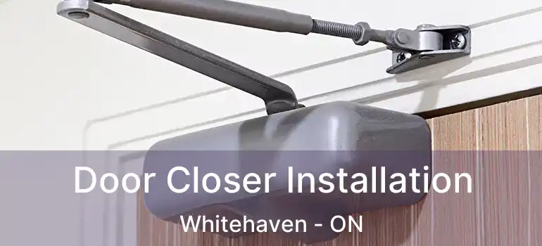  Door Closer Installation Whitehaven - ON