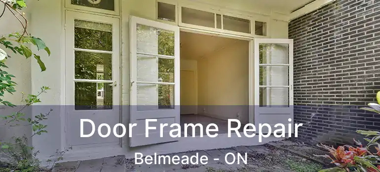  Door Frame Repair Belmeade - ON