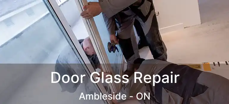  Door Glass Repair Ambleside - ON