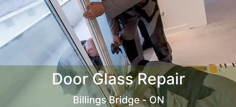  Door Glass Repair Billings Bridge - ON