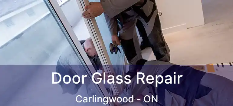  Door Glass Repair Carlingwood - ON