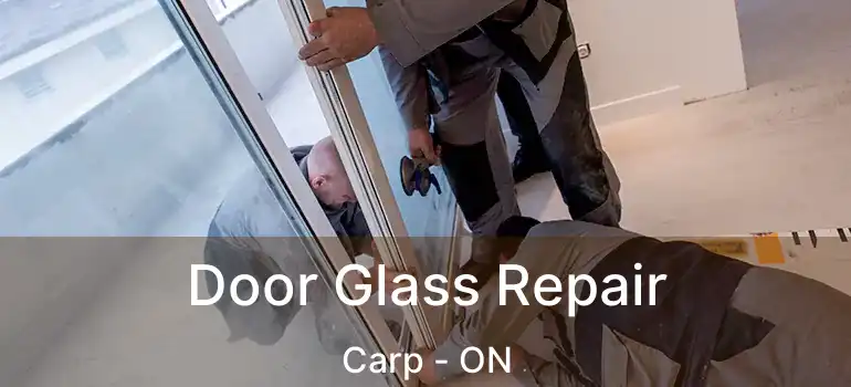  Door Glass Repair Carp - ON