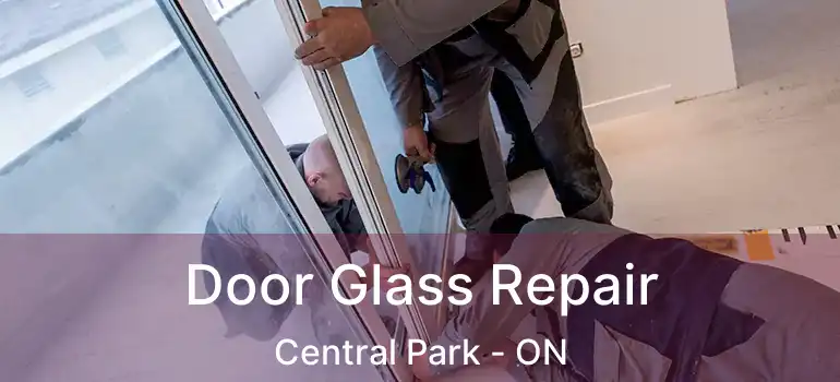  Door Glass Repair Central Park - ON