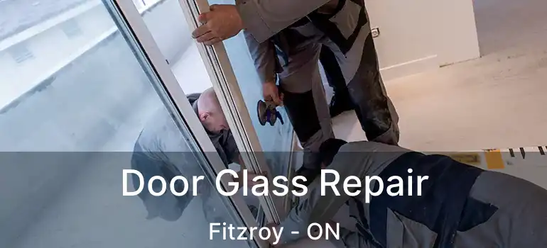  Door Glass Repair Fitzroy - ON