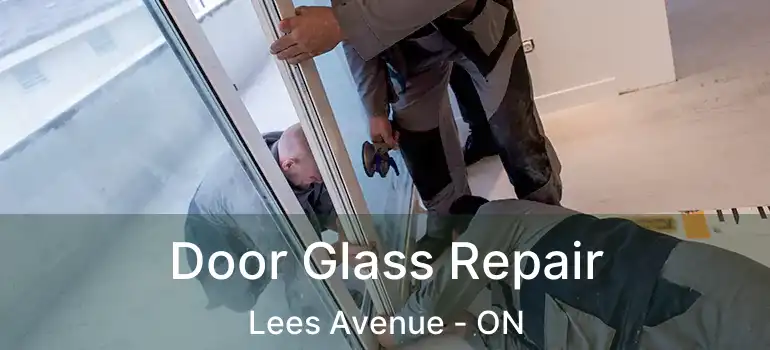  Door Glass Repair Lees Avenue - ON