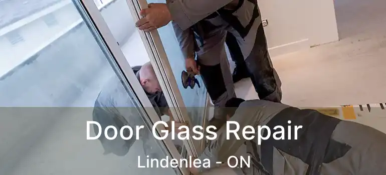  Door Glass Repair Lindenlea - ON