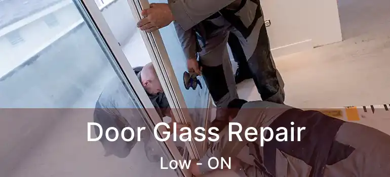  Door Glass Repair Low - ON