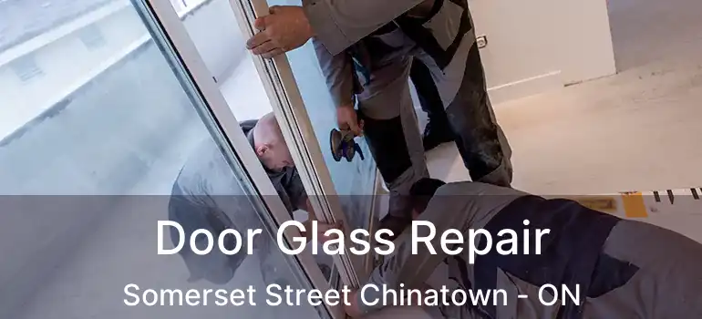  Door Glass Repair Somerset Street Chinatown - ON