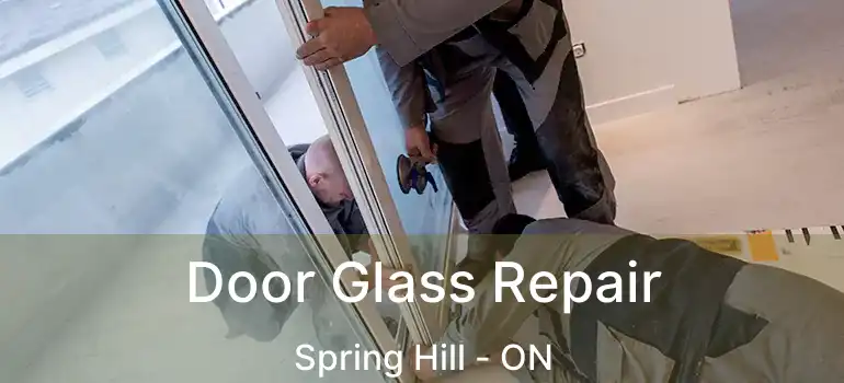  Door Glass Repair Spring Hill - ON