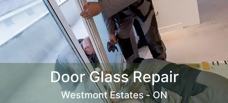  Door Glass Repair Westmont Estates - ON