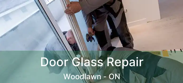  Door Glass Repair Woodlawn - ON