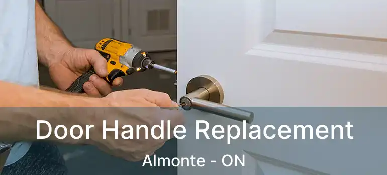  Door Handle Replacement Almonte - ON