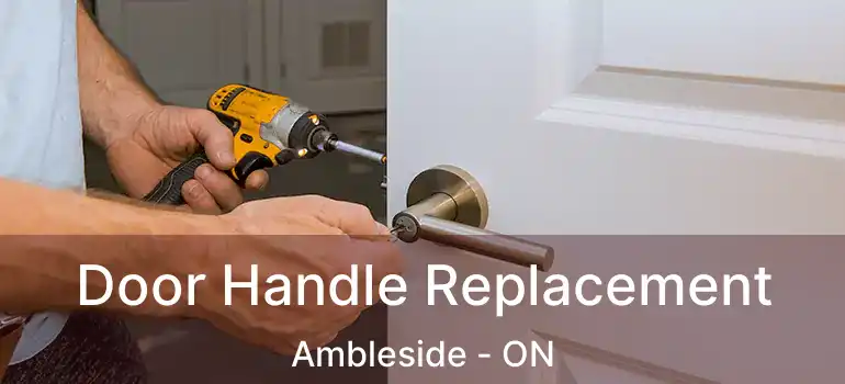  Door Handle Replacement Ambleside - ON