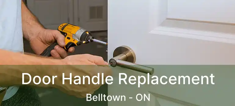  Door Handle Replacement Belltown - ON