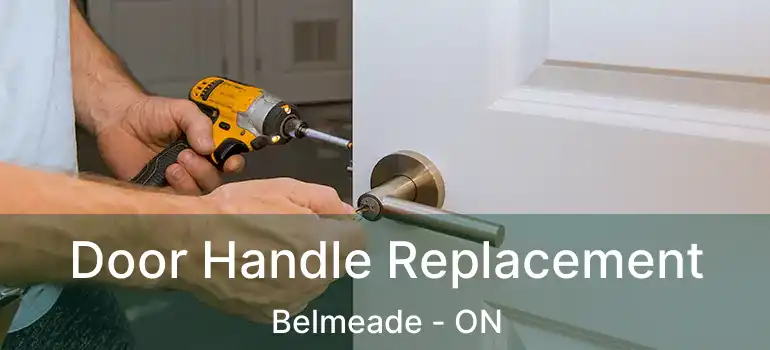  Door Handle Replacement Belmeade - ON