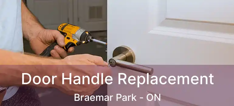  Door Handle Replacement Braemar Park - ON