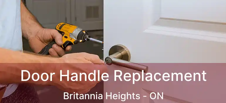  Door Handle Replacement Britannia Heights - ON