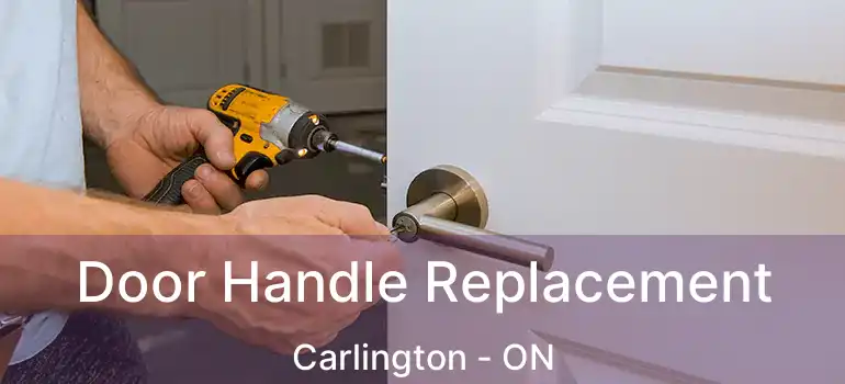  Door Handle Replacement Carlington - ON