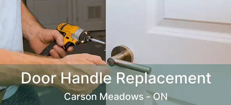  Door Handle Replacement Carson Meadows - ON