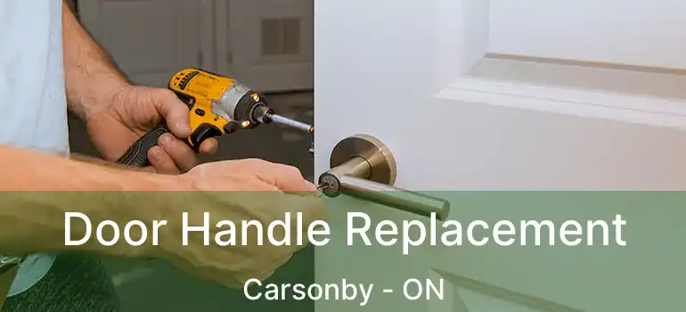  Door Handle Replacement Carsonby - ON