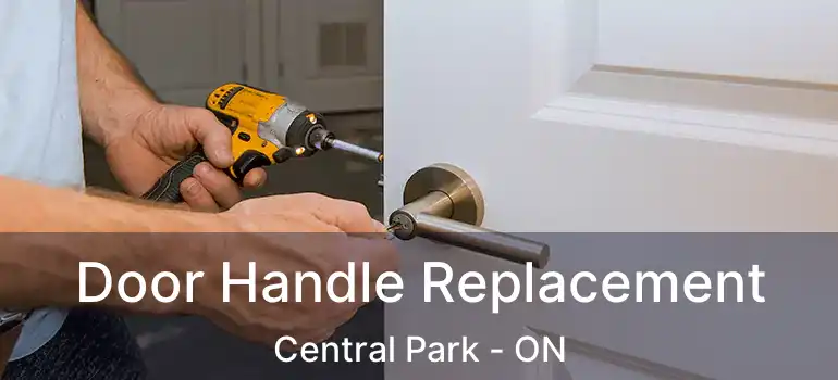  Door Handle Replacement Central Park - ON