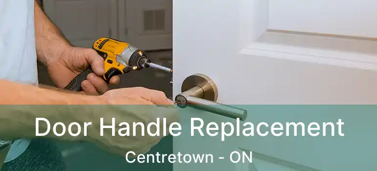  Door Handle Replacement Centretown - ON