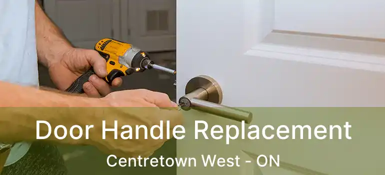  Door Handle Replacement Centretown West - ON