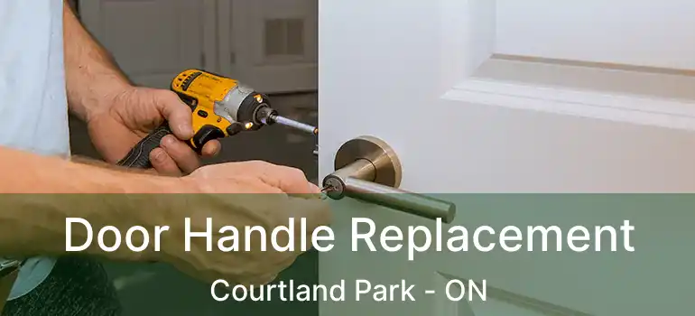  Door Handle Replacement Courtland Park - ON