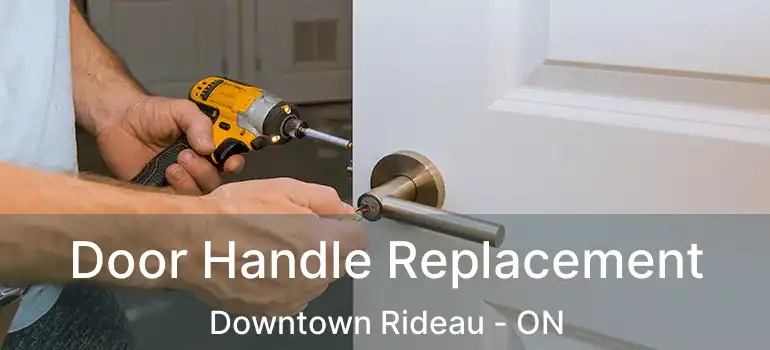  Door Handle Replacement Downtown Rideau - ON