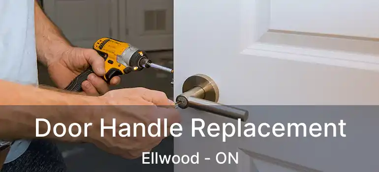  Door Handle Replacement Ellwood - ON