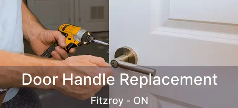  Door Handle Replacement Fitzroy - ON