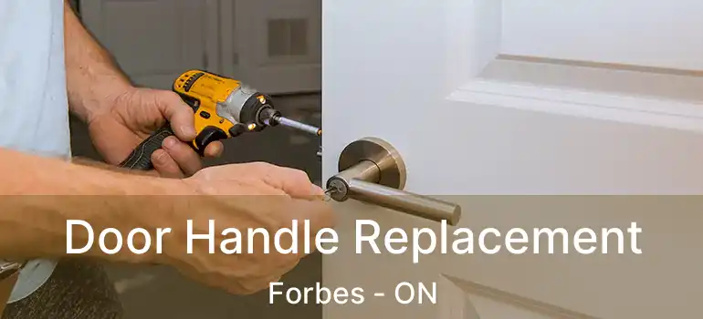  Door Handle Replacement Forbes - ON