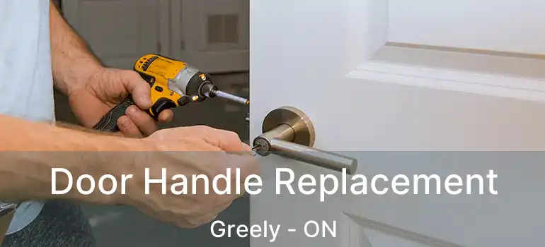  Door Handle Replacement Greely - ON