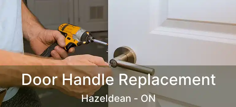  Door Handle Replacement Hazeldean - ON