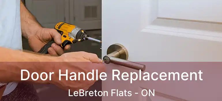  Door Handle Replacement LeBreton Flats - ON