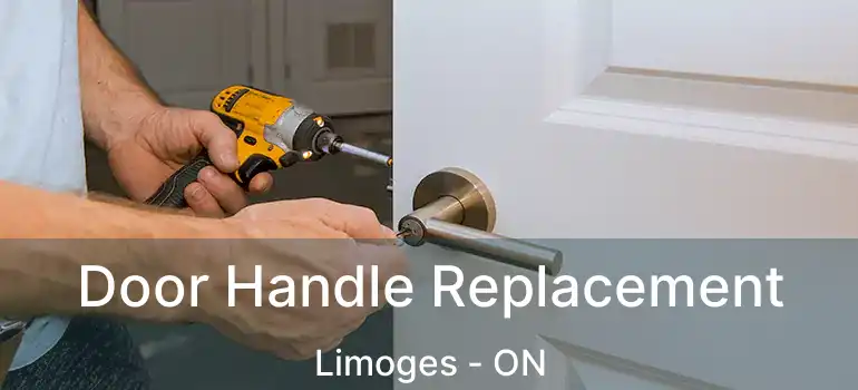  Door Handle Replacement Limoges - ON