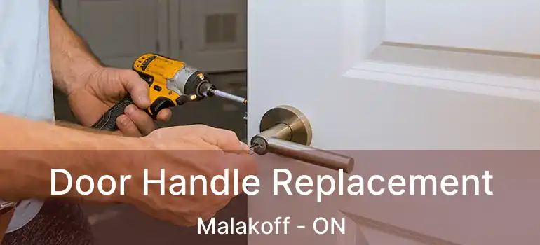  Door Handle Replacement Malakoff - ON