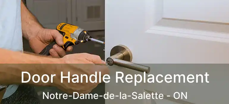  Door Handle Replacement Notre-Dame-de-la-Salette - ON