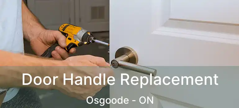  Door Handle Replacement Osgoode - ON